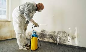 Biohazard Mold Removal in Johnston City, IL